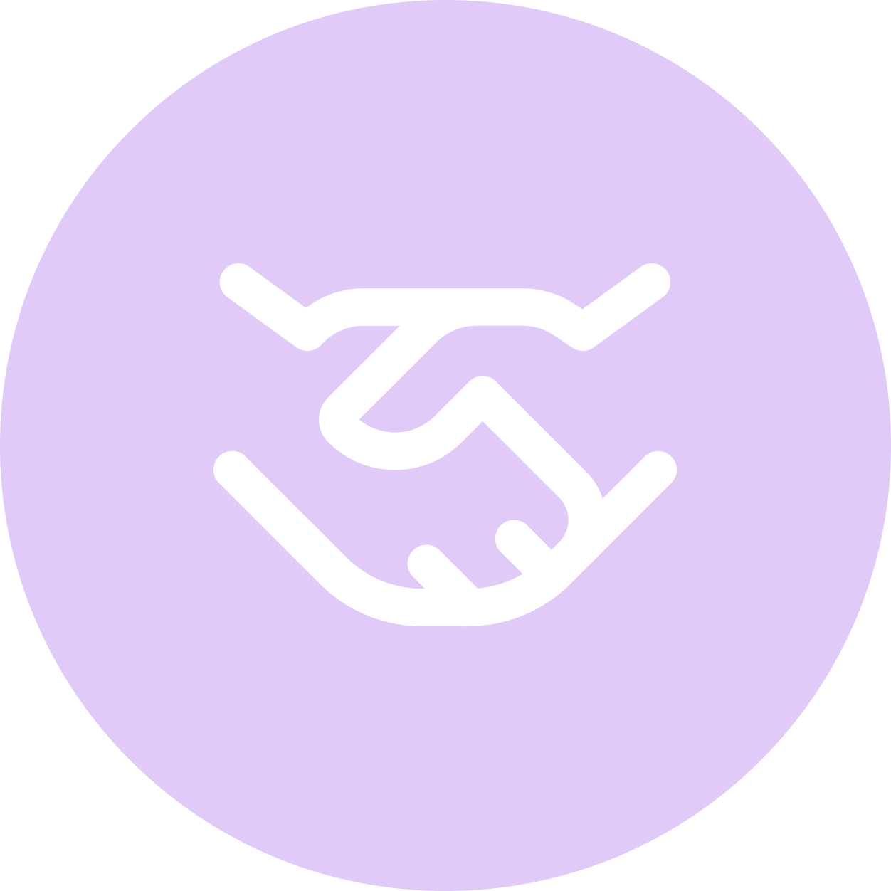 Illustrations crées par Inamor Design